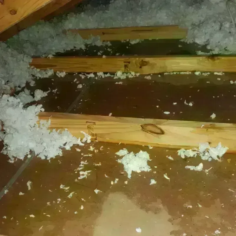 Attic Water Damage in Walker County, GA