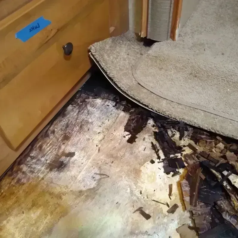 Best Wood Floor Water Damage Service in Walker County, GA